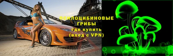 ПСИЛОЦИБИНОВЫЕ ГРИБЫ Горно-Алтайск
