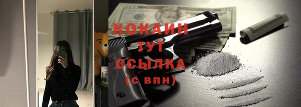 ПСИЛОЦИБИНОВЫЕ ГРИБЫ Горно-Алтайск
