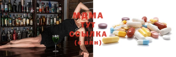 ПСИЛОЦИБИНОВЫЕ ГРИБЫ Горно-Алтайск