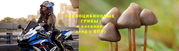 spice Горнозаводск