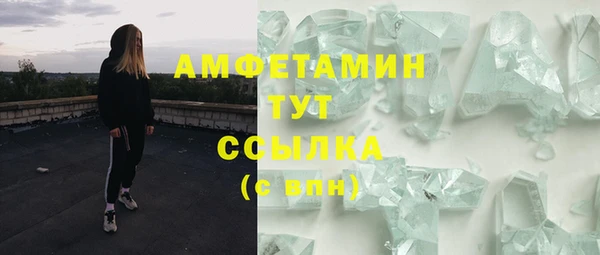 ПСИЛОЦИБИНОВЫЕ ГРИБЫ Горно-Алтайск