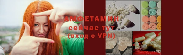 ПСИЛОЦИБИНОВЫЕ ГРИБЫ Горно-Алтайск
