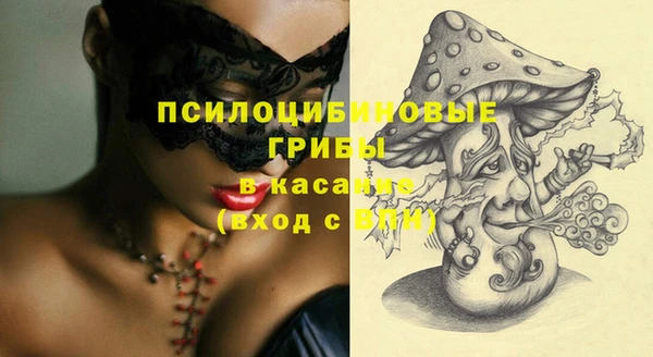spice Горнозаводск