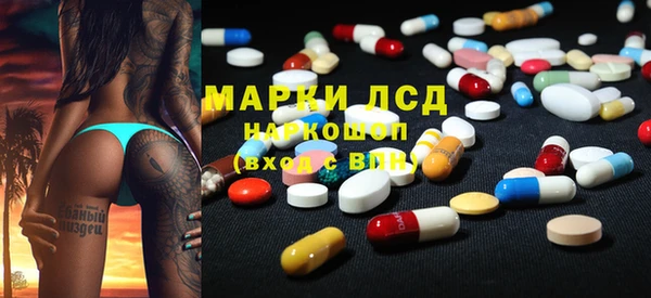 ПСИЛОЦИБИНОВЫЕ ГРИБЫ Горно-Алтайск