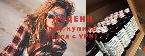 ПСИЛОЦИБИНОВЫЕ ГРИБЫ Горно-Алтайск