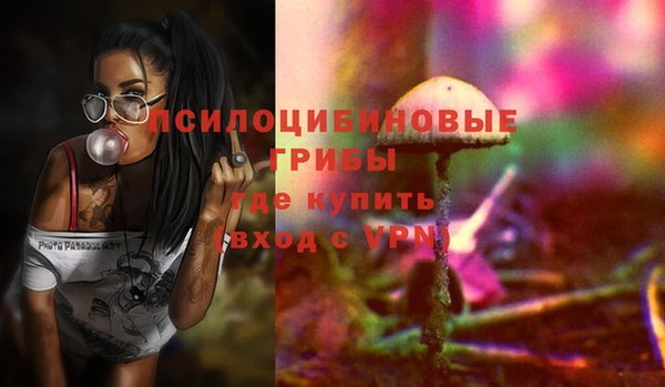 spice Горнозаводск
