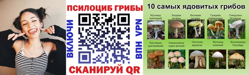 купить закладку  Ермолино  hydra ссылки  Галлюциногенные грибы Psilocybe 